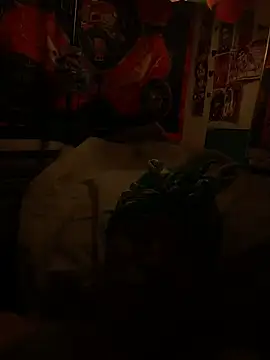 Show modela frenchiego na web-kameri