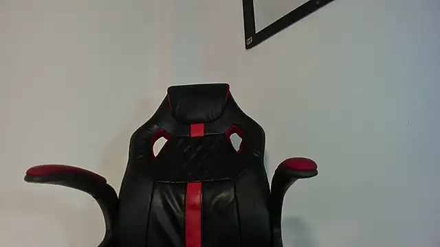 ryanlatiinn Webbikameraesitys