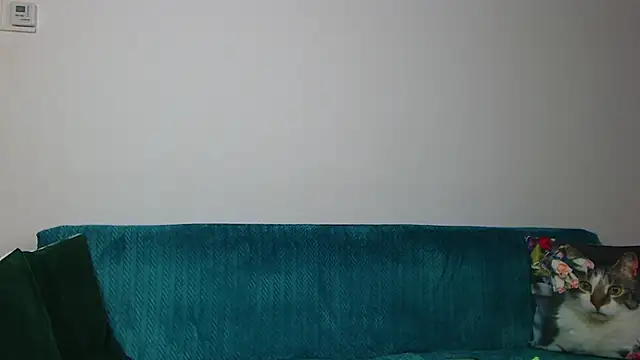 SaraDaisy's Live XXX Chat