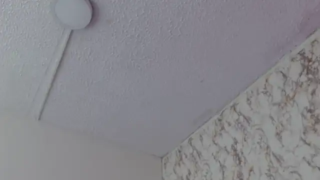 AlexaFontana's Live XXX Chat