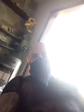 TreatedAntidote 网络视讯表演