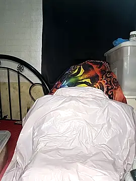 Chat +18 de _Shimmerlyn_ ao vivo