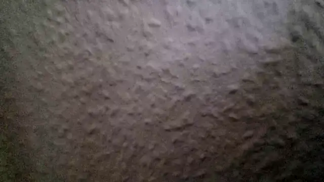 Foxtrott_242 Webcam-Show