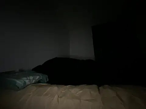 Pertunjukan Kamera Web Deknkei