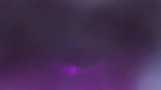 Show webcam de Mushroom83