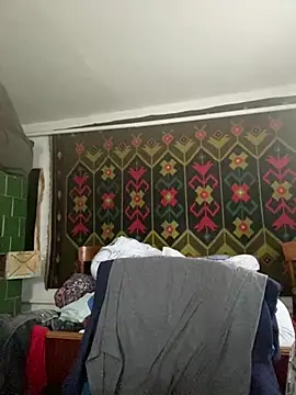 Frosln Webbikameraesitys