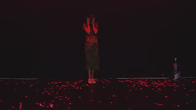 SSF-888's Webcam Show