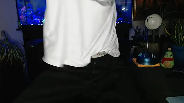 Show Webcam de EspanolVato