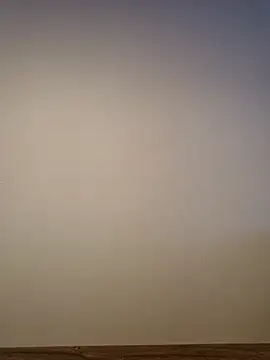 AlphaGymMale – Kamerová šou