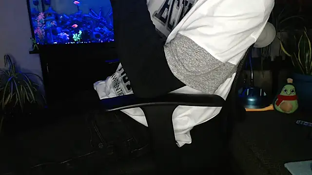 Show webcam de EspanolVato