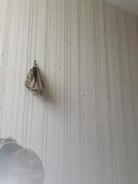 Вебкам-шоу Nik888Nik888