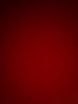 dallm5 网络视讯表演