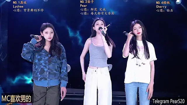 SG-0310 网络视讯表演