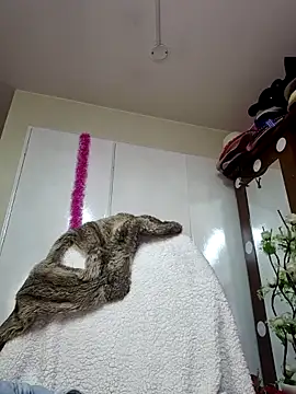 Chat XXX en directo de Sam_Sara