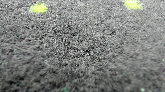 عرض كام AishaRouhi