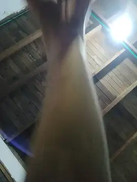 Mobi_bigdick webkamerás műsora