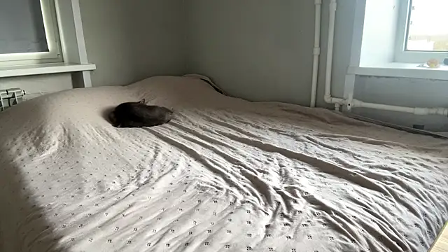 lisa_montana's Live XXX Chat