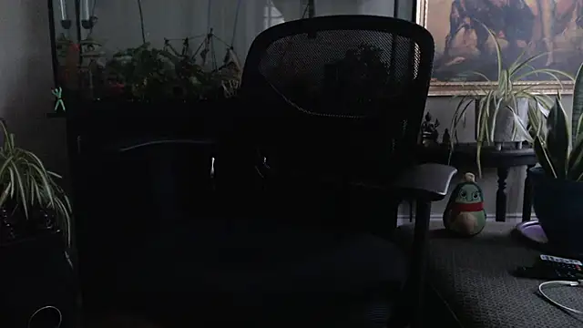 Chat XXX Live EspanolVato