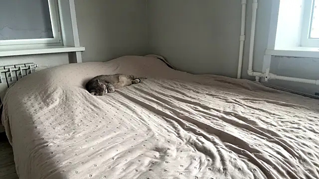 lisa_montana's Live XXX Chat