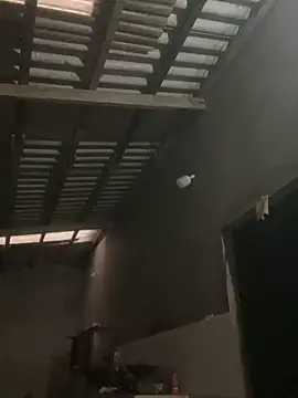 meganmeo Live XXX-chat