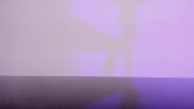 ElektraBomdansn Webbikameraesitys