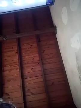 Show Webcam de Guskiss