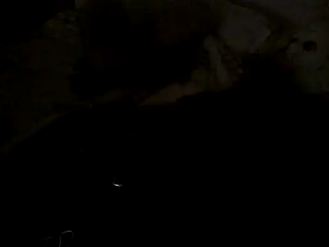 cabecaoegreluda Live XXX-Chat