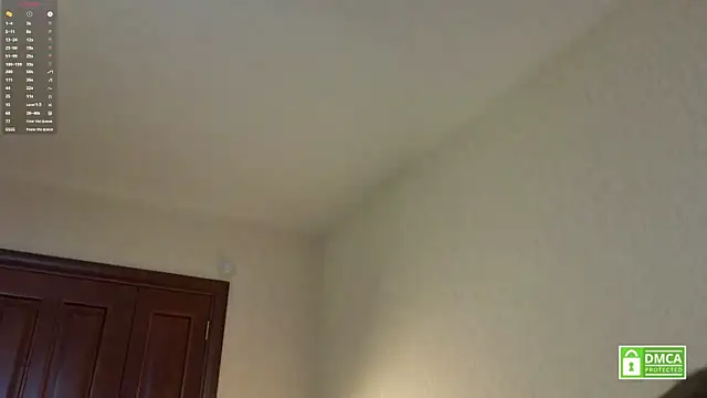 HongTomczakのウェブカメラショー