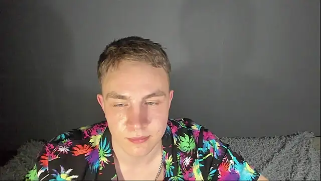 Show de webcam de avrions