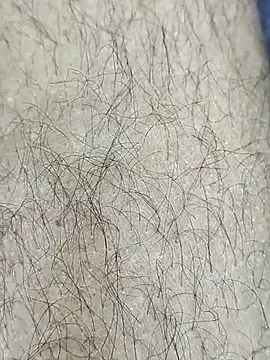 pegaso369 Webcam show