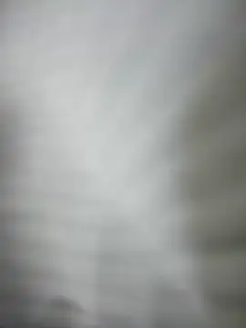 _Mia-Safety_Inspectorのウェブカメラショー