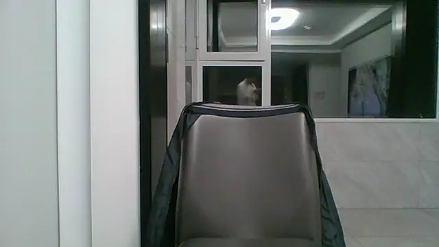 Chat XXX Live nole_china7