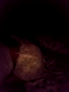 Webkamerová show honeypot224