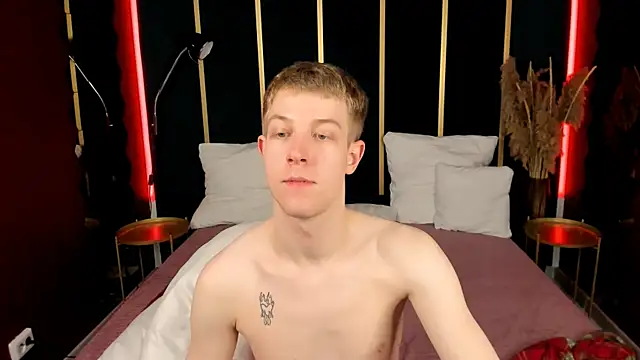 Czat XXX na żywo – Dylan_Norton