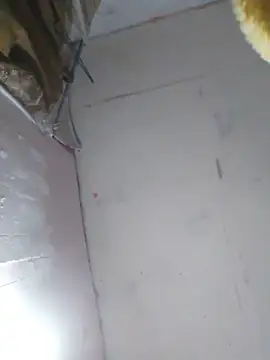 cobrosdepagos: вебкам-шоу