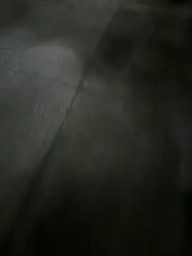 Emily-Nguyen 现场XXX聊天