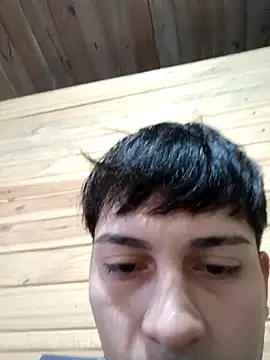 REVergon1n Webbikameraesitys