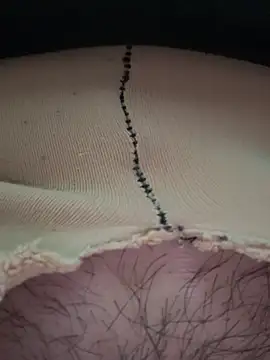 buusoom 라이브 XXX 채팅