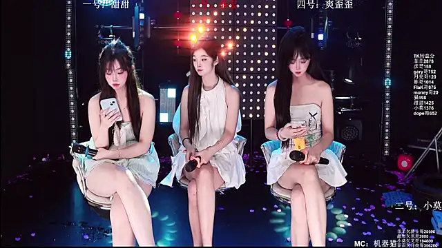 S5-5S5n Webbikameraesitys