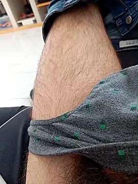 Show webcam de mickzizi