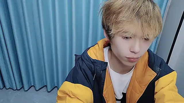 Show webcam de w5206t