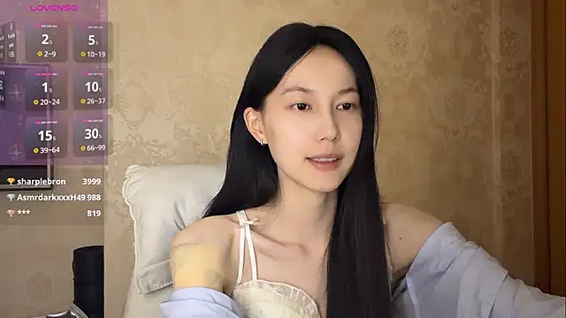 DD-5200 网络视讯表演