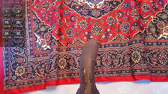 Živý XXX chat mirida_fox