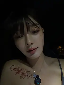 BBi-0329's Webcam Show