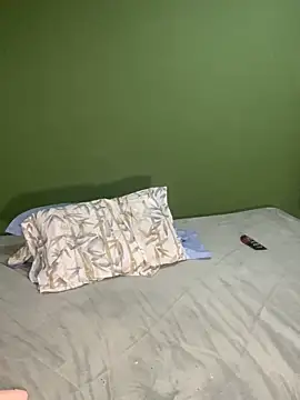 Webkamerová show pamechu2026