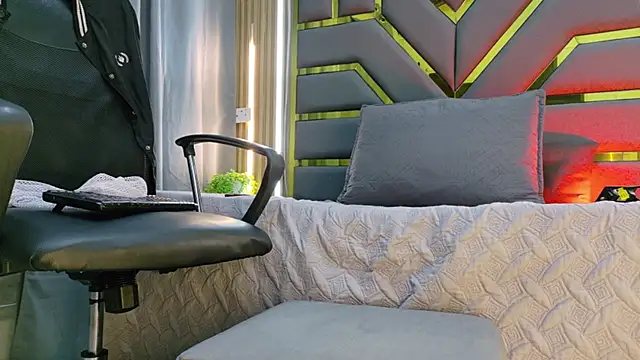 Leo_Miller_n Webbikameraesitys