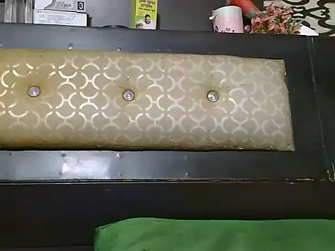 Stubborndesiboy Webcam-Show