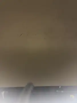 عرض كام SLNatasha