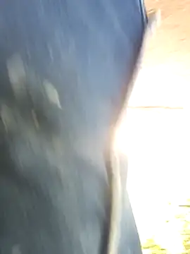 carlos40404n Live XXX chat