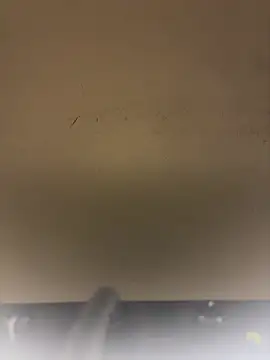 SLNatasha – Live XXX-chat